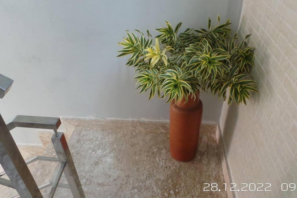 Excelente Casa Com Piscina Villa Camaçari Екстериор снимка